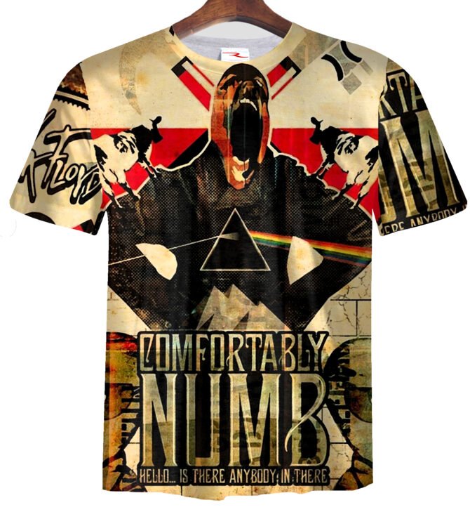 Remera  Pink Floyd