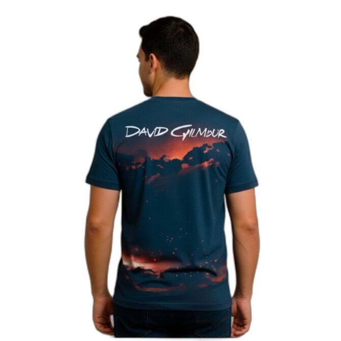 Remera David Gilmour