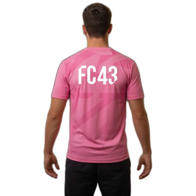 Remera Alpine Franco Colapinto